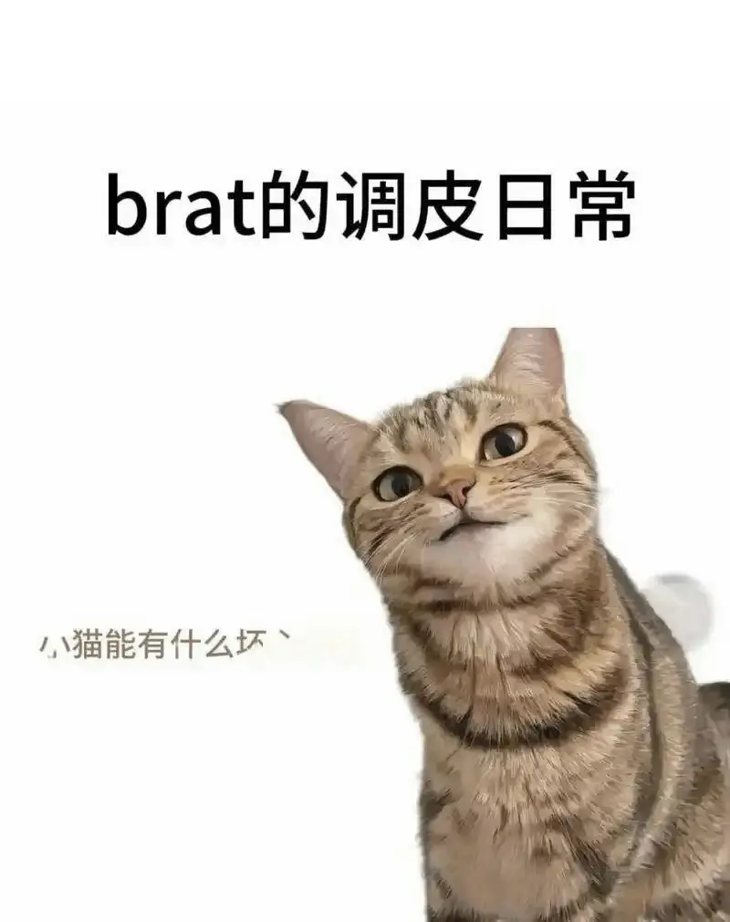 西檬之家-BDSM是什么？你的字母圈属性是什么？