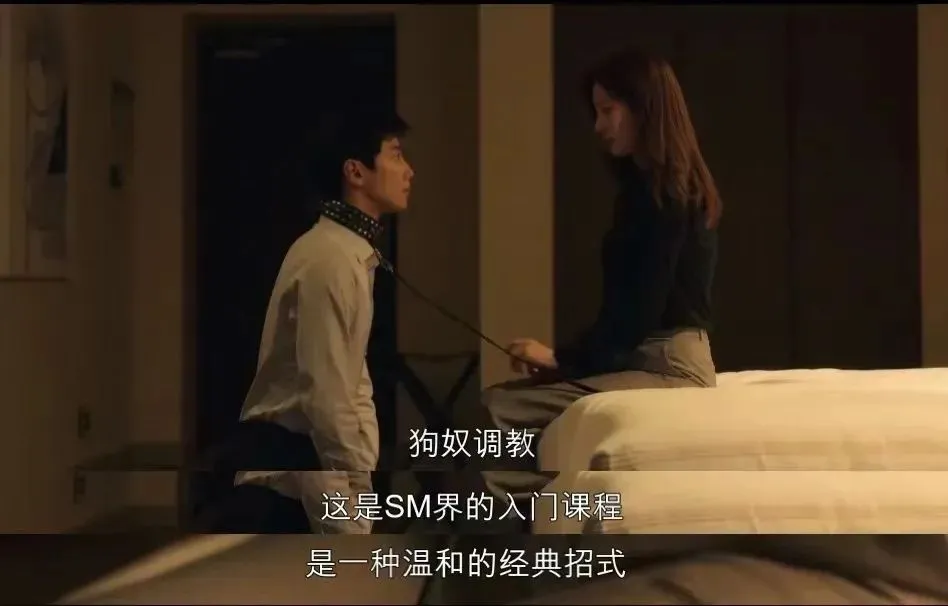 西檬之家-大圈新人指南：了解BDSM与关键术语