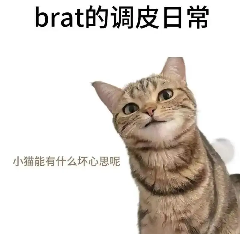 【西檬之家】Dom是什么意思？BDSM圈内核心角色解读