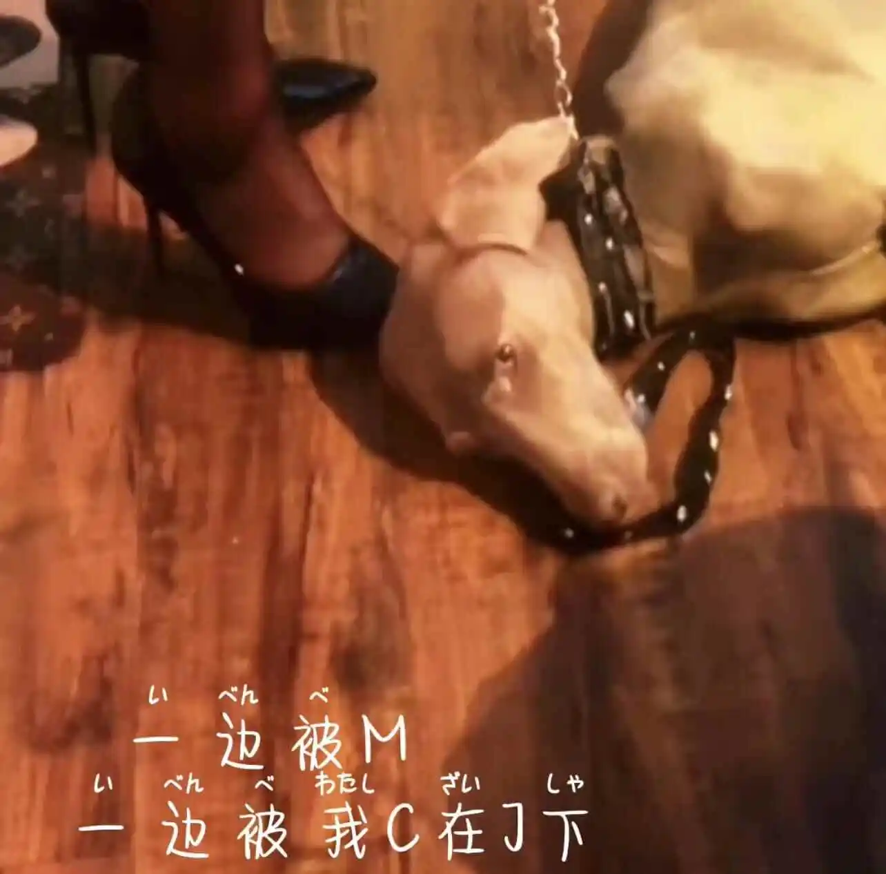 【西檬之家】字母圈新人入圈指南：从OTK到SSC原则的安全探索