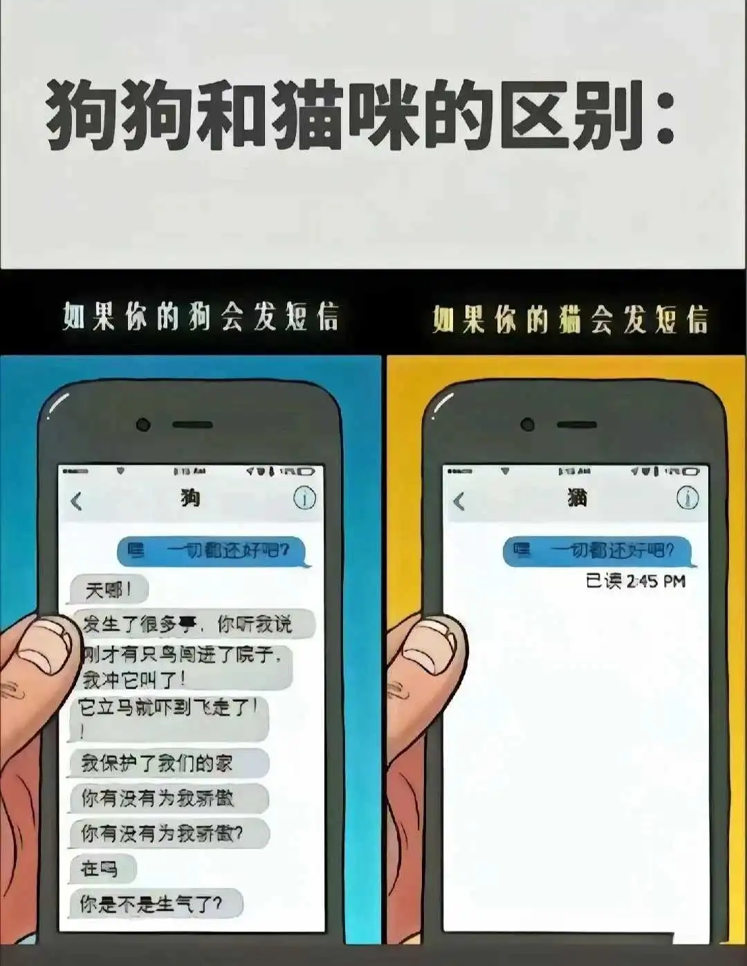 k9犬系：实用指南