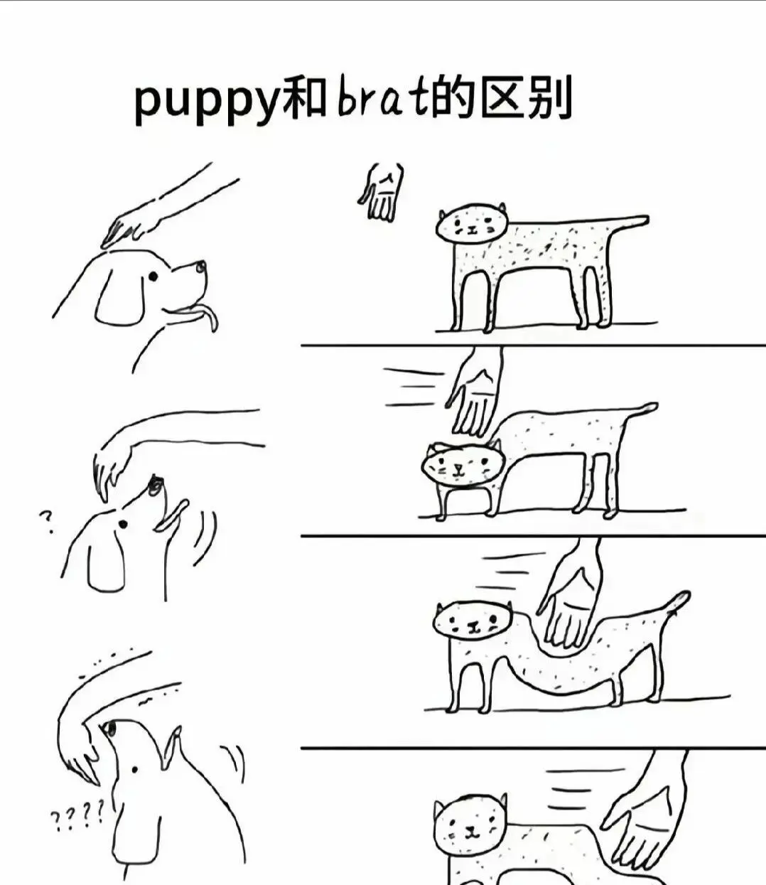 Sp - 微信图片_2025-11-13_180940_765