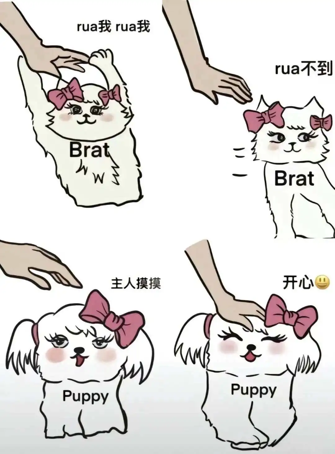 西檬之家-BDSM中的K8是什么意思？