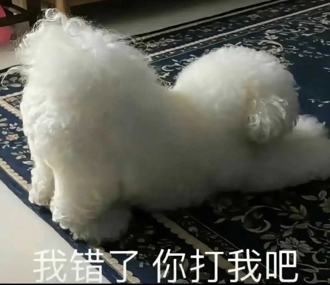 【西檬之家】字母圈新人指南：读懂BDSM与SSC原则